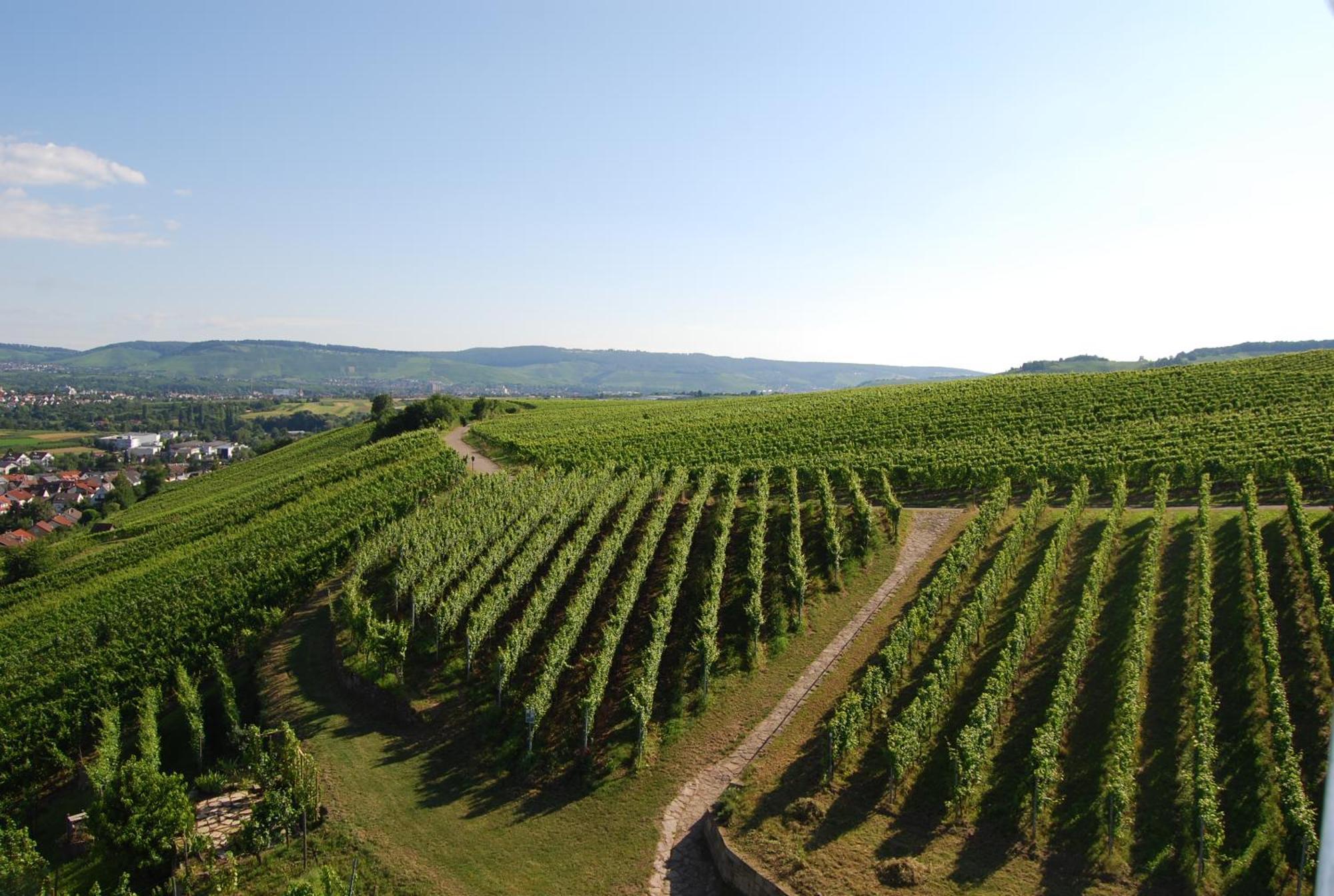 Unter Der Yburg Stetten Stetten  Extérieur photo