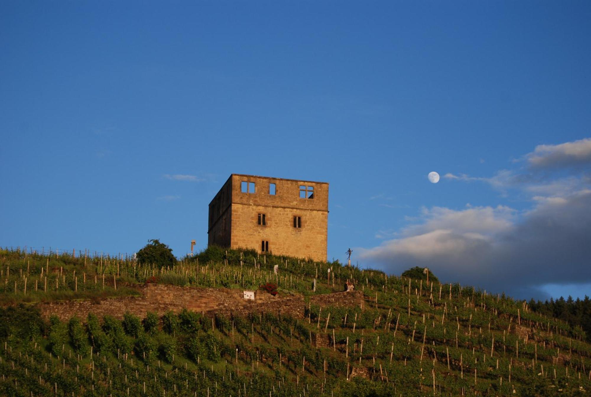 Unter Der Yburg Stetten Stetten  Extérieur photo