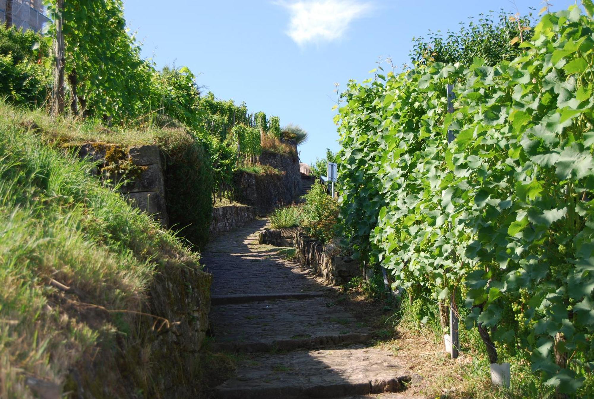 Unter Der Yburg Stetten Stetten  Extérieur photo