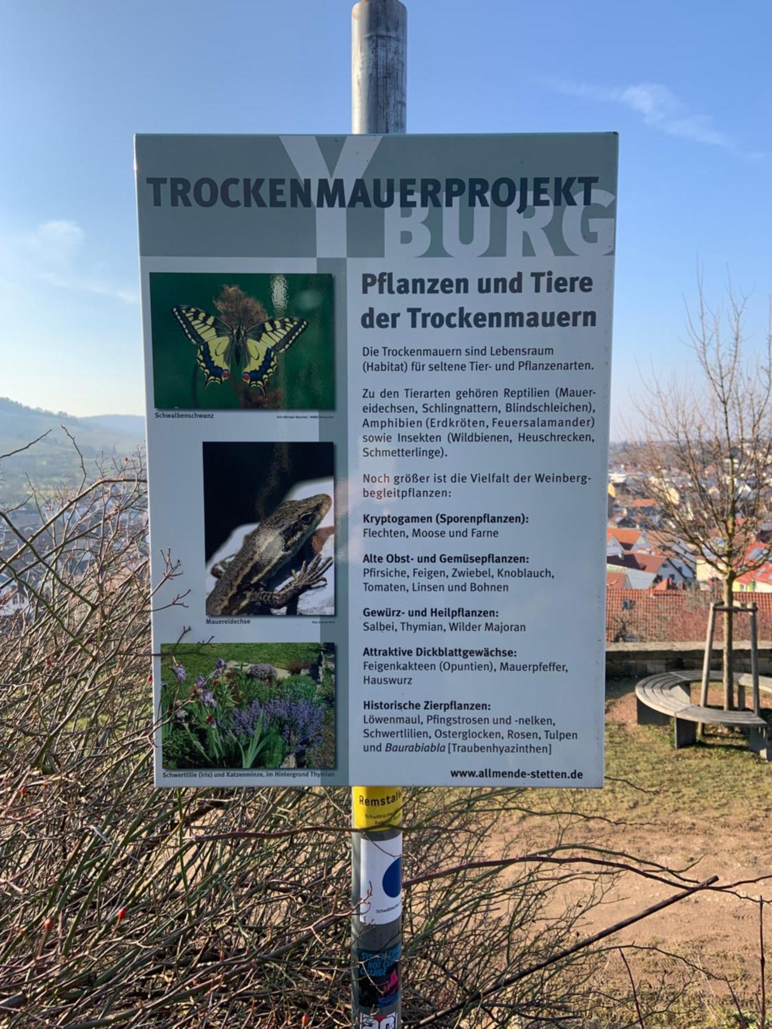 Unter Der Yburg Stetten Stetten  Extérieur photo
